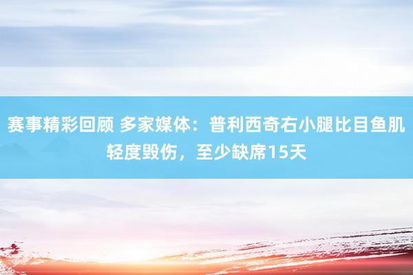 赛事精彩回顾 多家媒体：普利西奇右小腿比目鱼肌轻度毁伤，至少缺席15天