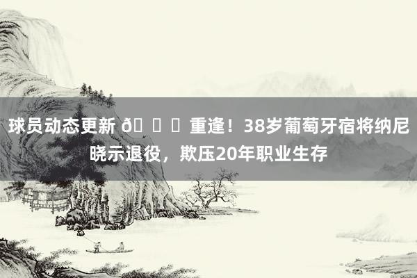 球员动态更新 👋重逢！38岁葡萄牙宿将纳尼晓示退役，欺压20年职业生存