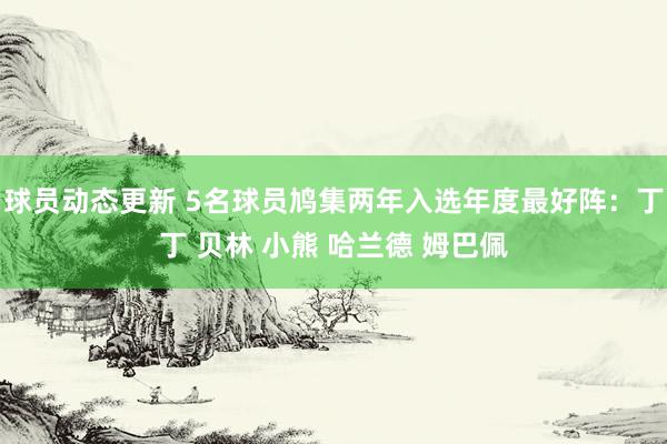 球员动态更新 5名球员鸠集两年入选年度最好阵：丁丁 贝林 小熊 哈兰德 姆巴佩